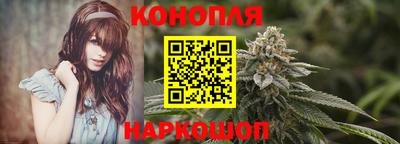 крисы Тула
