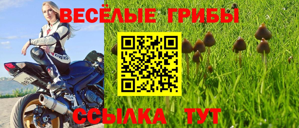 Галлюциногенные грибы MAGIC MUSHROOMS  Псилоцибиновые грибы ЛСД  Малоярославец  Вход с VPN 